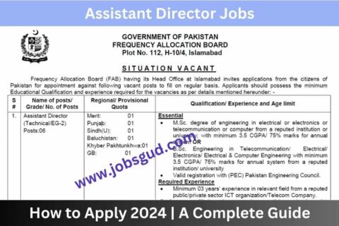 Assistant Director Jobs