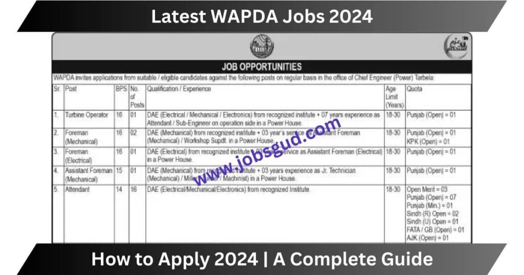 Latest WAPDA Jobs 2024 Apply Online OTS