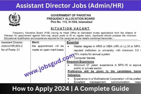 Assistant Director Jobs (AdminHR)