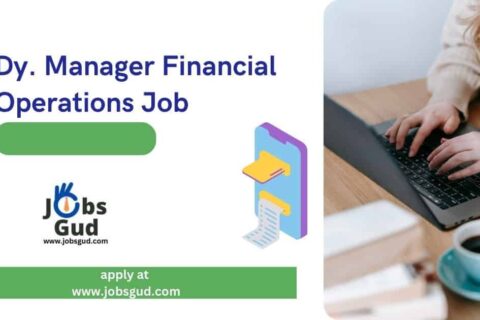 Dy. Manager Financial Operations Job